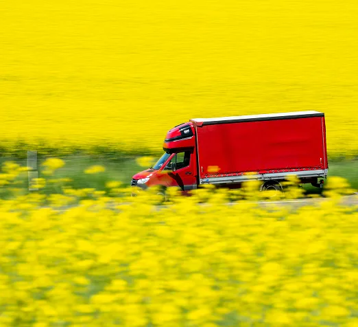 Dostawa sztucznej trawy